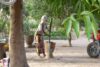 Ulandsfrivillig i Gambia
