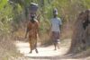 Kvinder på vej til havearbejde i bushen Ulandsfrivillig i Gambia