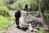 De spanske caminoer