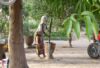 Sifoe, Gambia
